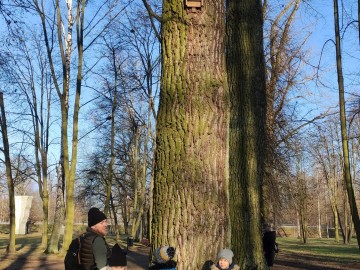 Spacer po Sieradzu w ramach Zimowego Ptakoliczenia 2025, 